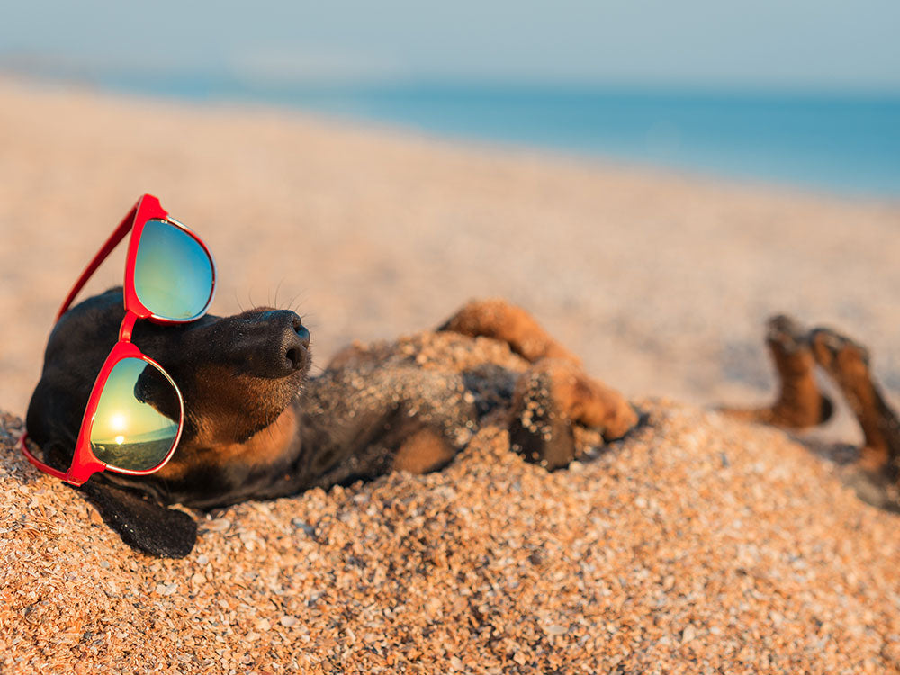 Mit Smart Home den Sommerurlaub genießen