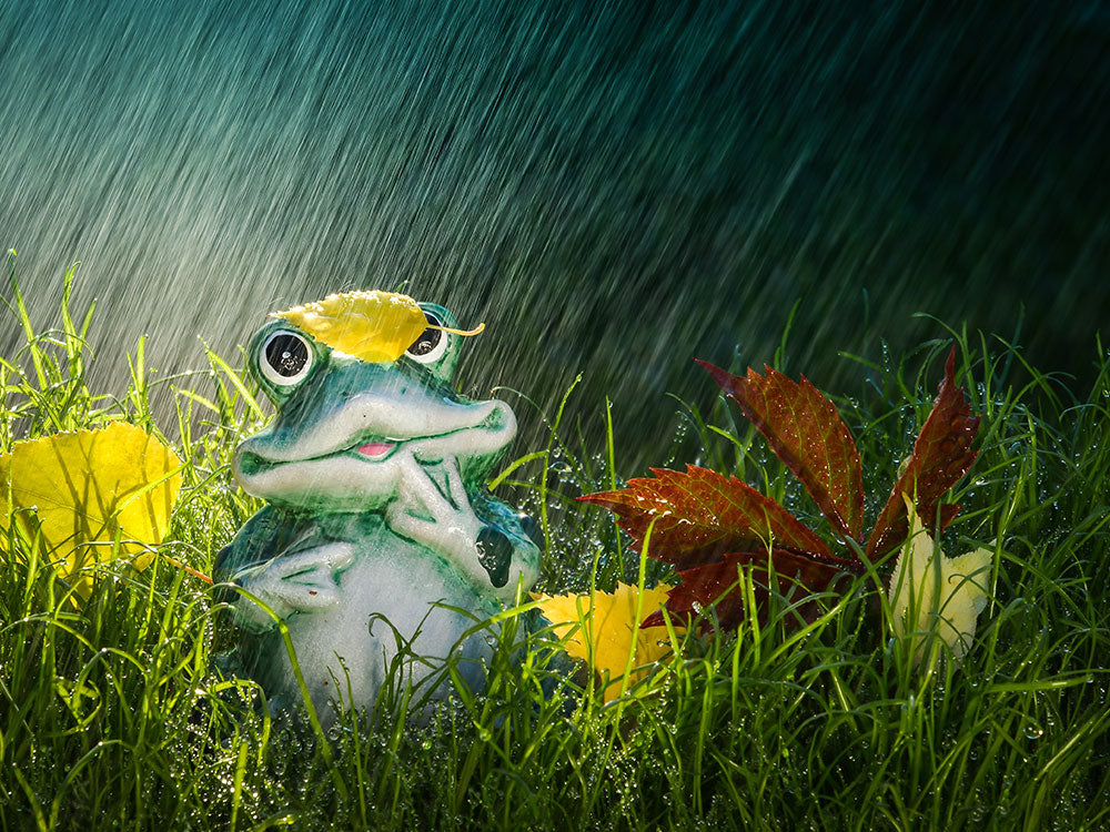 Bunte Gartenbeleuchtung für Wettervorhersage