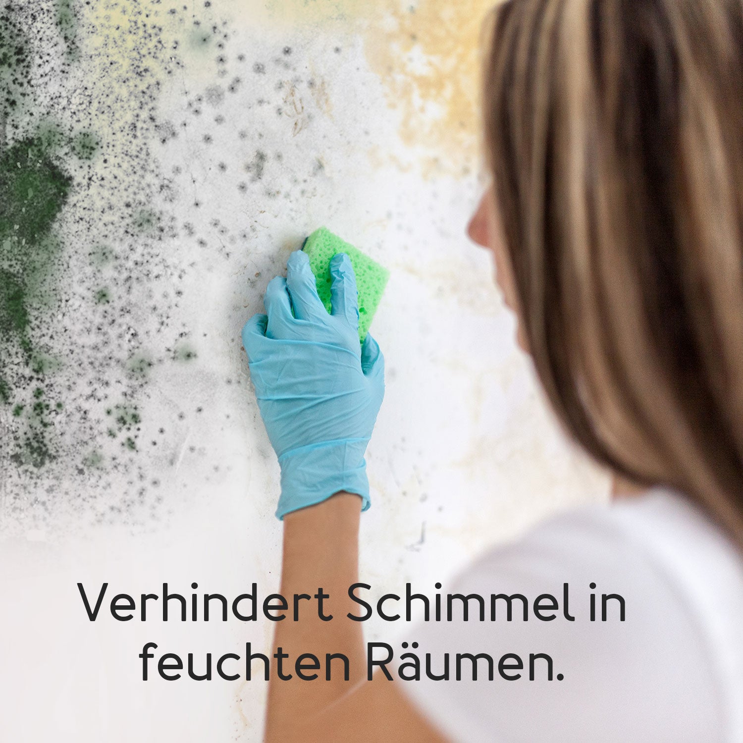 Aeotec aërQ Temperature & Humidity Sensor Schimmelbildung