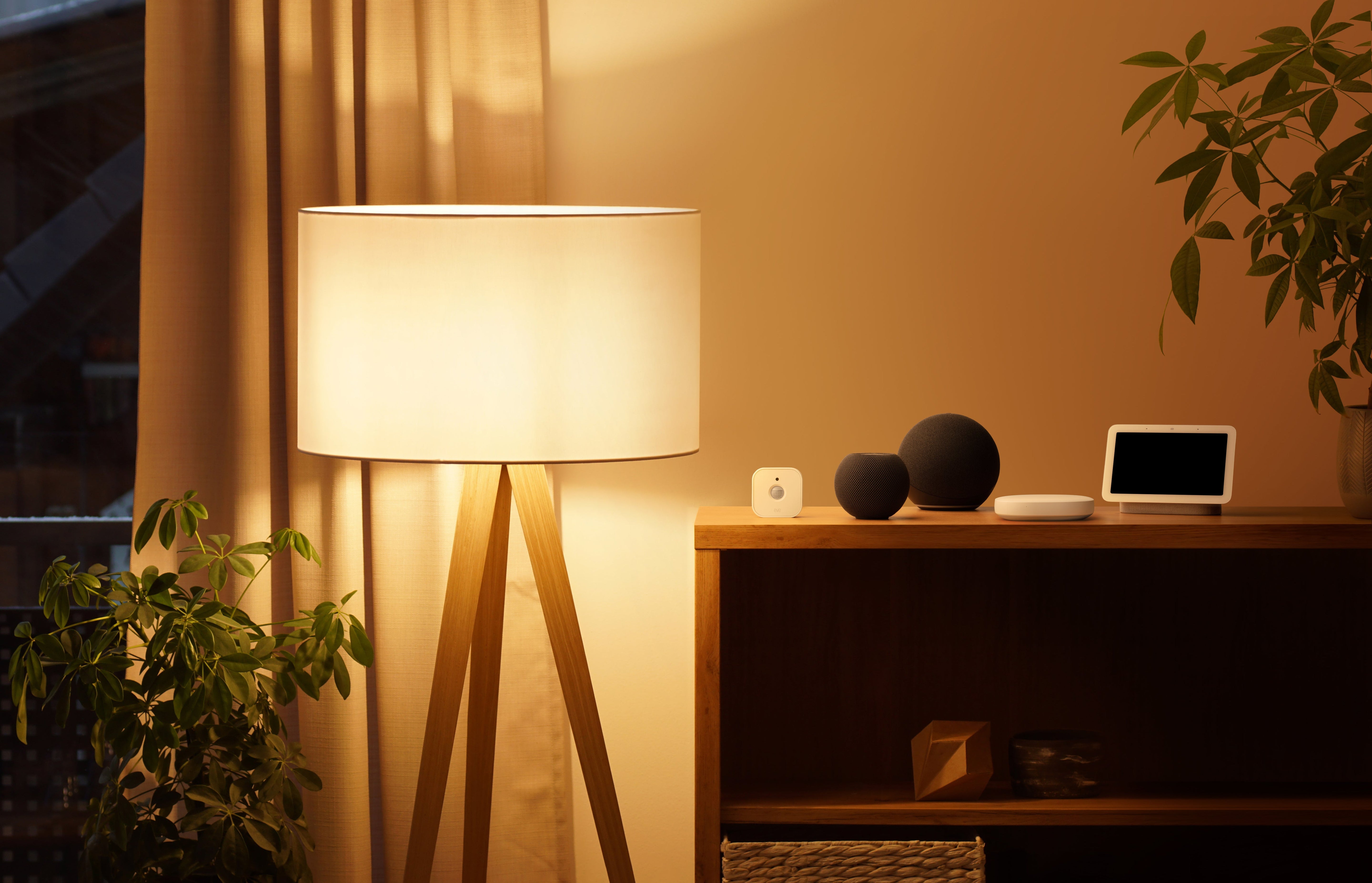 Eve Motion (Matter over Thread)