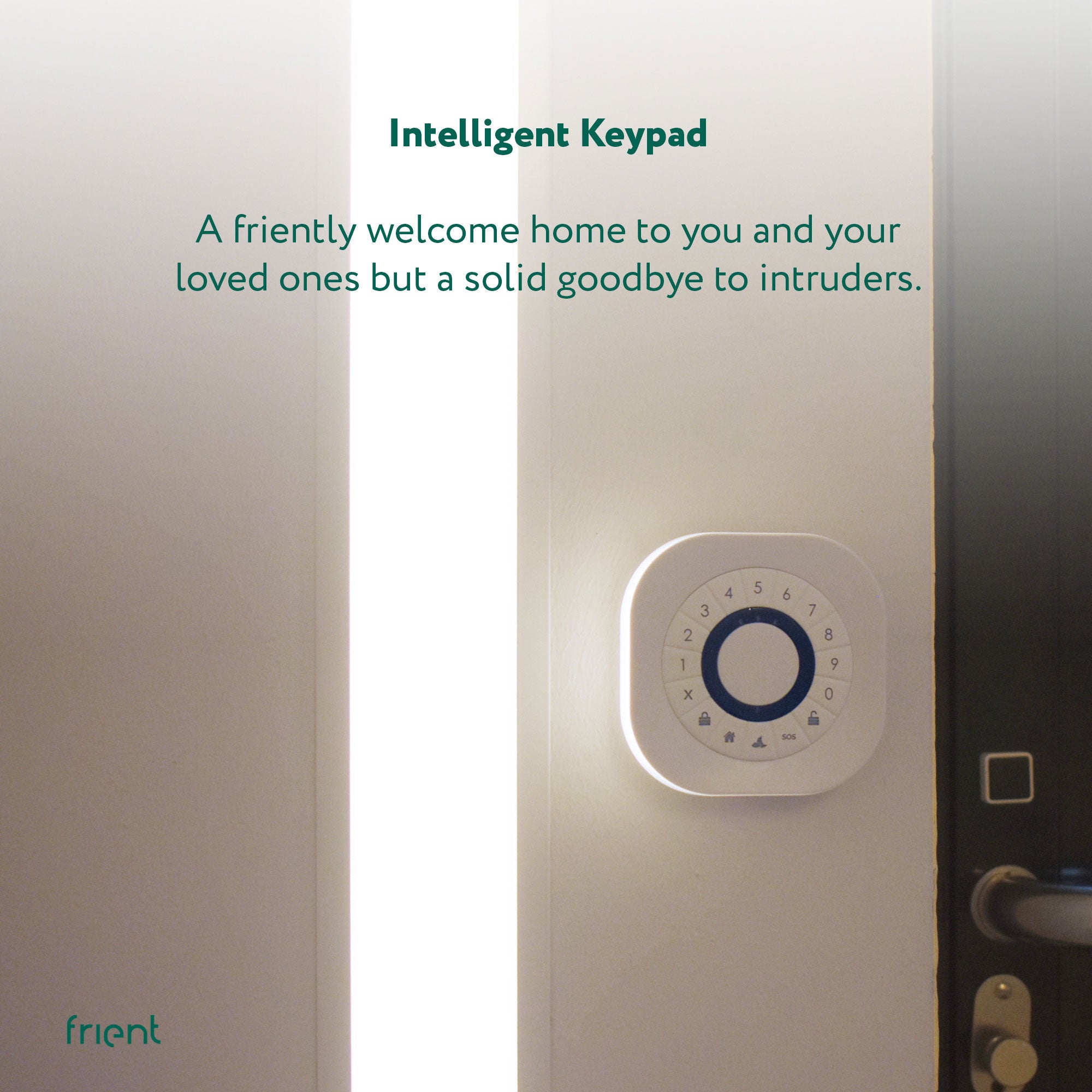frient Keypad (Zigbee)