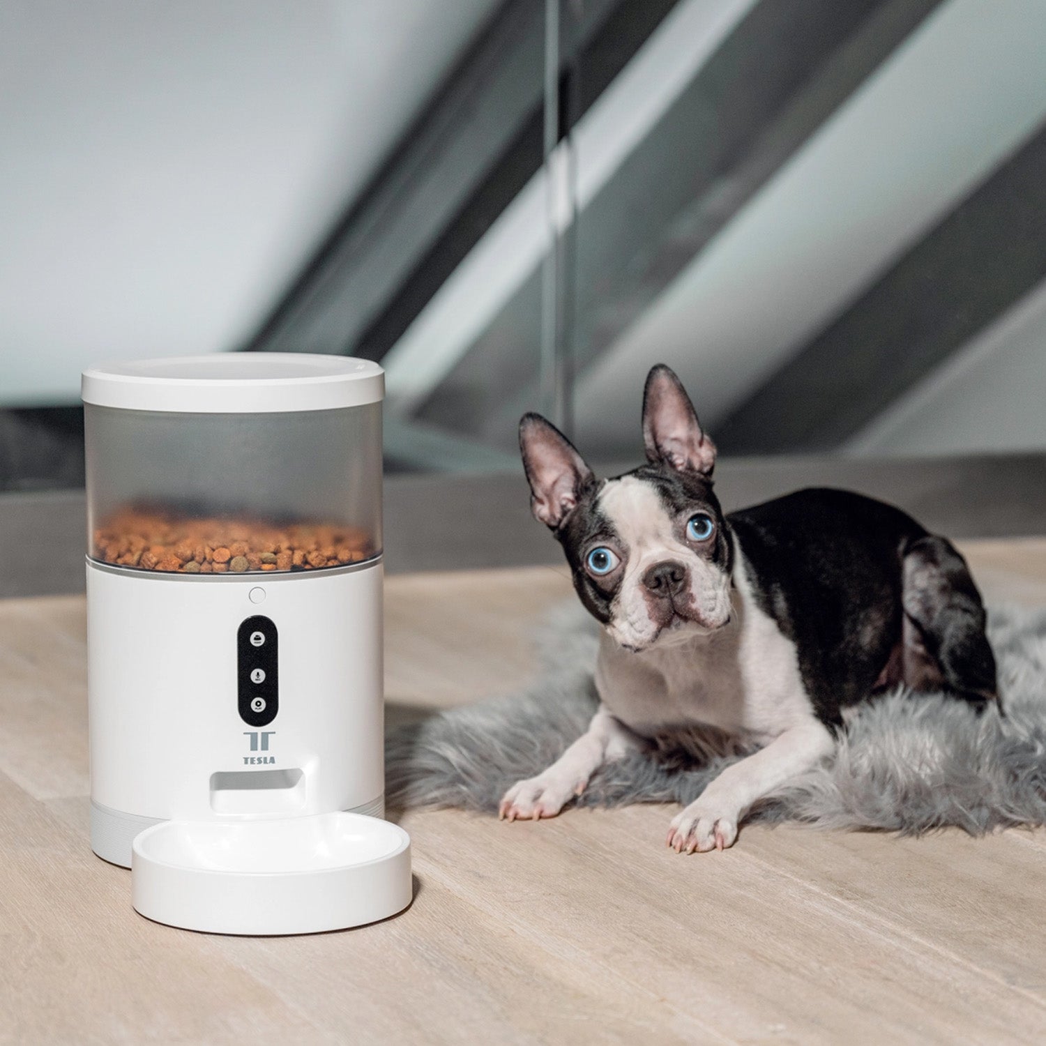 TESLA Smart Home Smart Pet Feeder WLAN