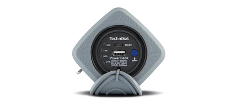 TechniSat BLUSPEAKER OD 300 (Grau/Schwarz)